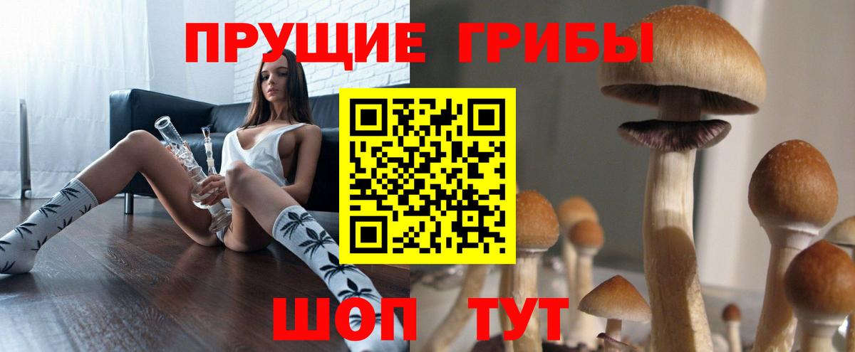 Прокопьевск  Галлюциногенные грибы мухоморы  Псилоцибиновые грибы прущие грибы  Вход с VPN 